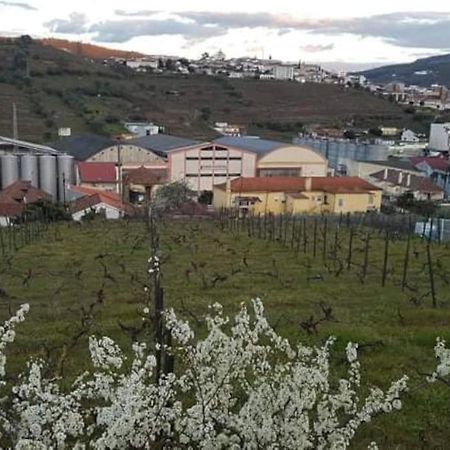 ペーゾ・ダ・レーグアCasa Moscatel - Douro Valleyアパートメント エクステリア 写真